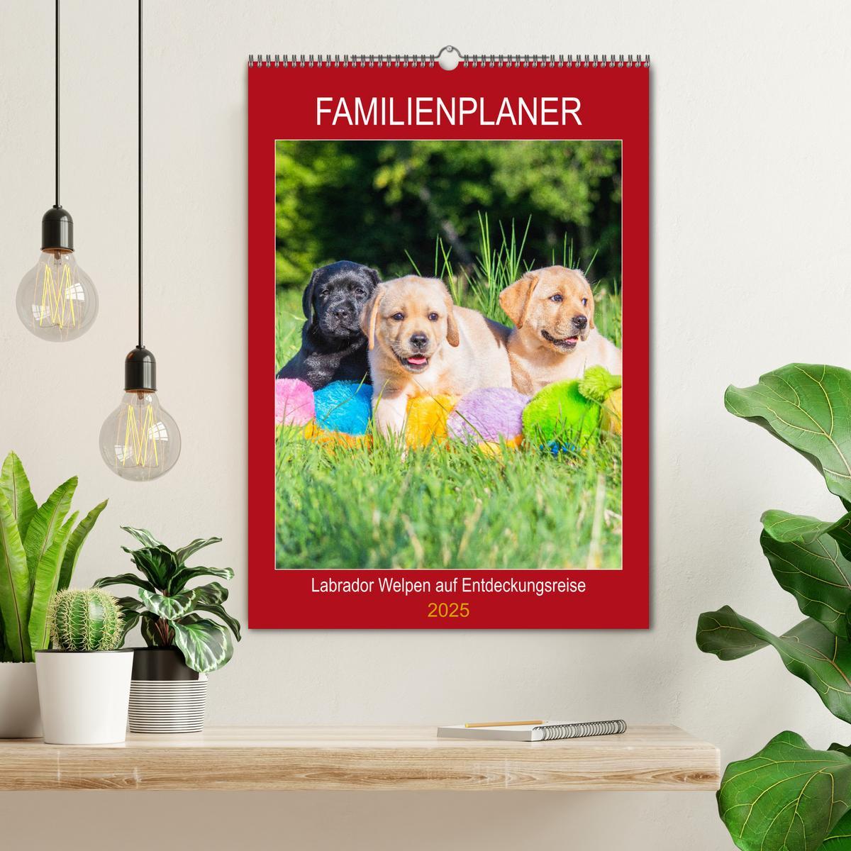 Bild: 9783435957675 | Familienplaner - Labrador Welpen entdecken die Welt (Wandkalender...