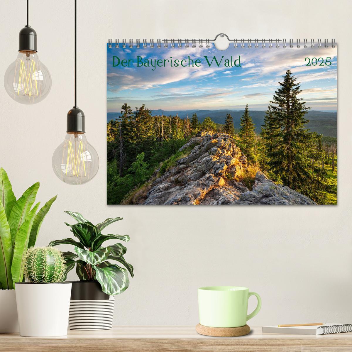 Bild: 9783435194247 | Der Bayerische Wald (Wandkalender 2025 DIN A4 quer), CALVENDO...