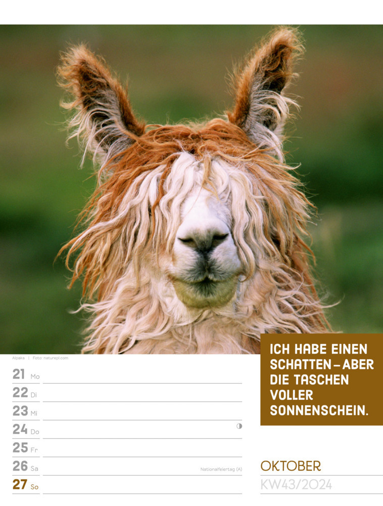 Bild: 9783838424965 | Tierisch! Sprüchekalender - Wochenplaner Kalender 2024 | Kunstverlag