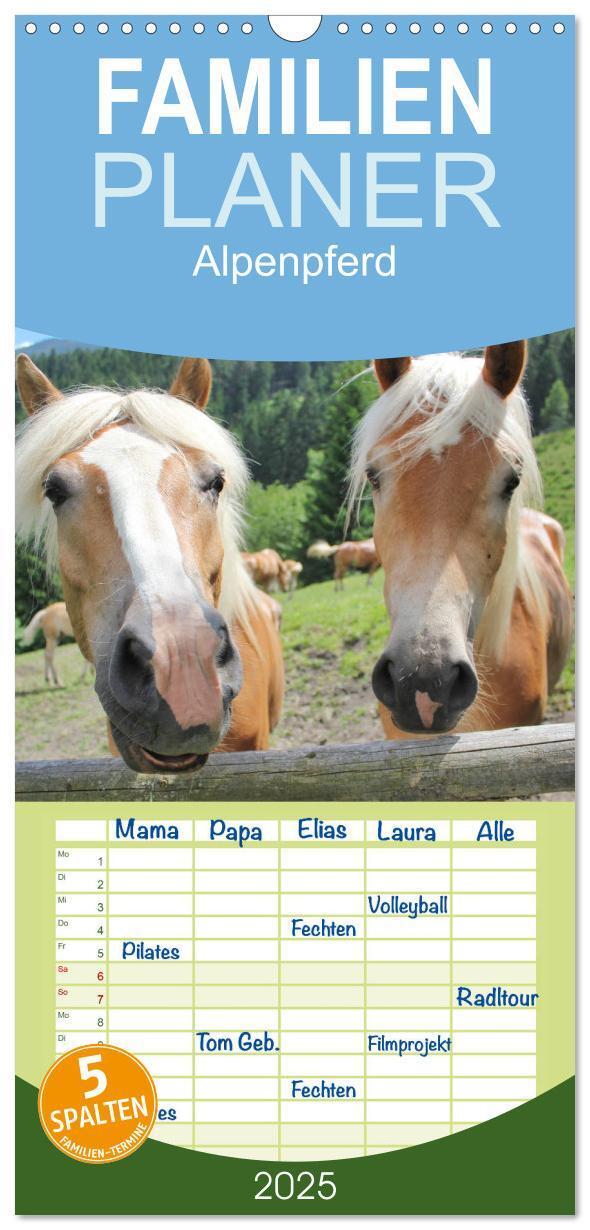 Cover: 9783457107294 | Familienplaner 2025 - Alpenpferde mit 5 Spalten (Wandkalender, 21 x...