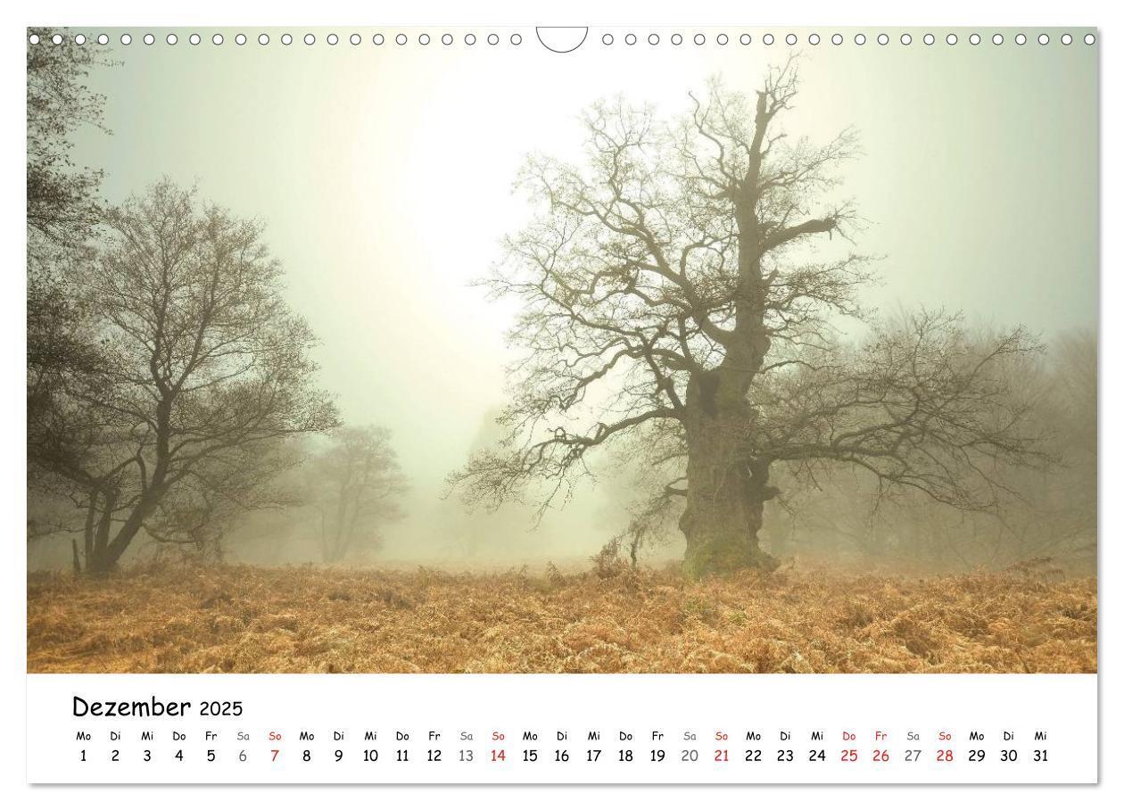 Bild: 9783435609628 | Morgendliche Stimmungen in Nordhessen (Wandkalender 2025 DIN A3...