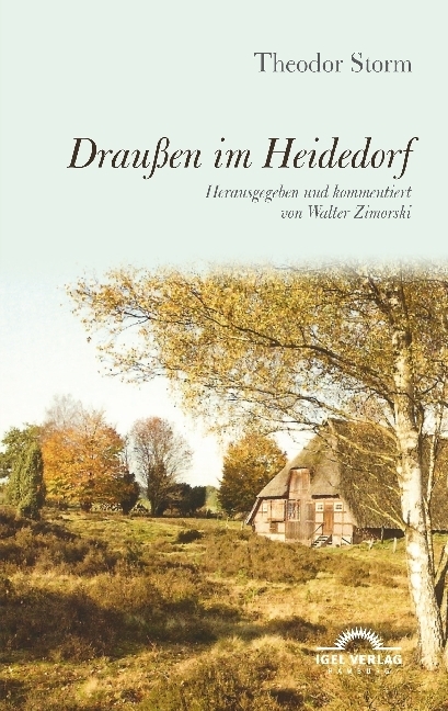 Cover: 9783868157208 | Draußen im Heidedorf | Theodor Storm | Taschenbuch | 116 S. | Deutsch