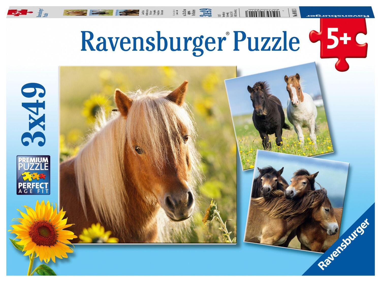 Cover: 4005556080113 | Liebe Pferde. Puzzle 3 x 49 Teile | Spiel | Deutsch | 2017