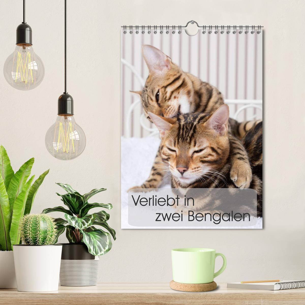 Bild: 9783457050224 | Verliebt in zwei Bengalen (Wandkalender 2025 DIN A4 hoch), CALVENDO...