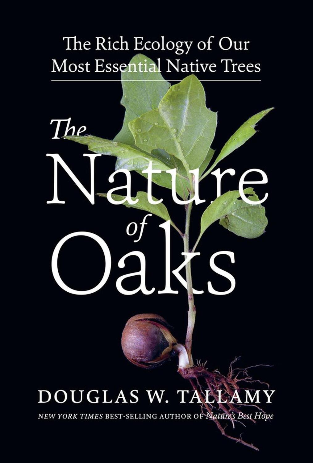 Cover: 9781643260440 | The Nature of Oaks: The Rich Ecology of Our Most Essential Native...