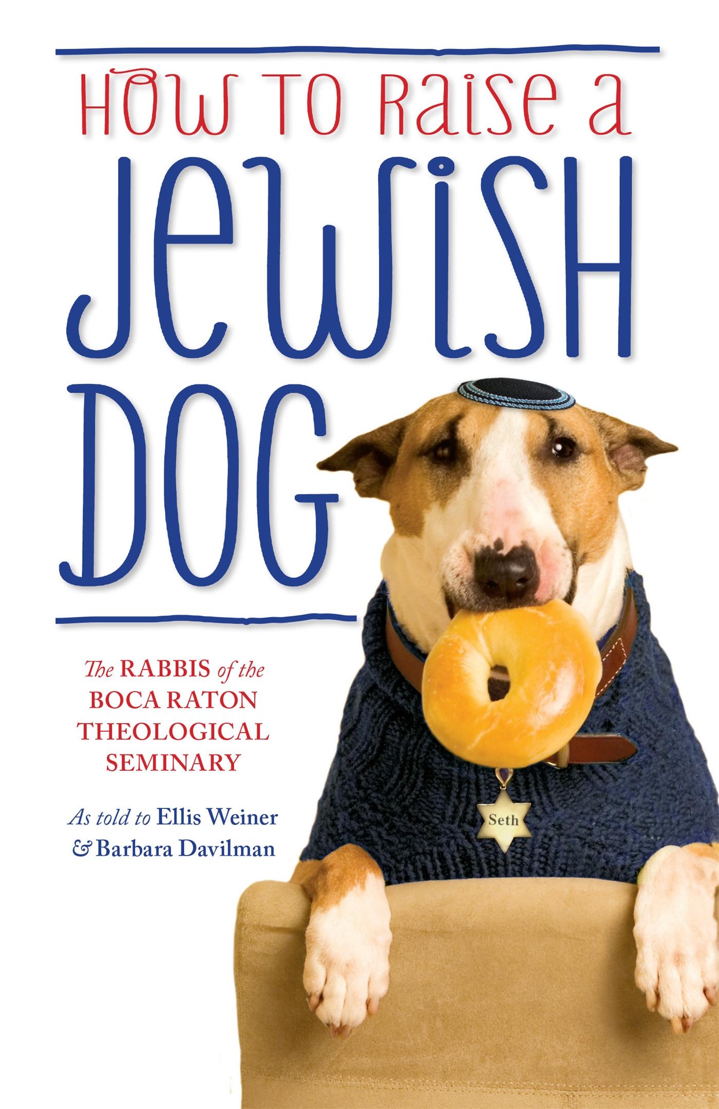 Cover: 9781780227368 | How To Raise A Jewish Dog | Barbara Davilman (u. a.) | Taschenbuch