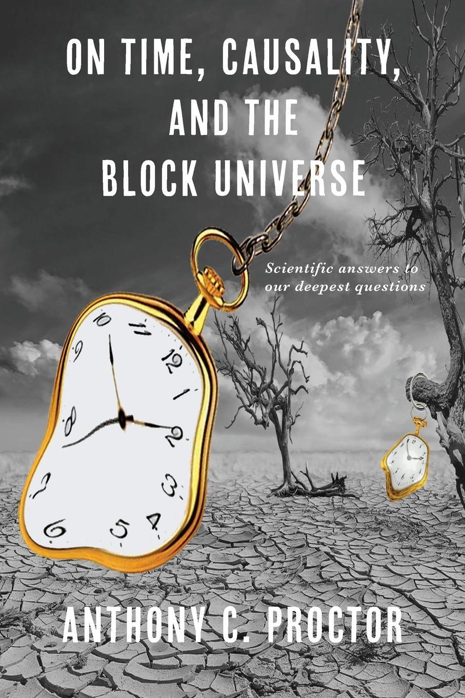 Cover: 9781913136444 | On Time, Causality, and the Block Universe | Anthony C Proctor | Buch