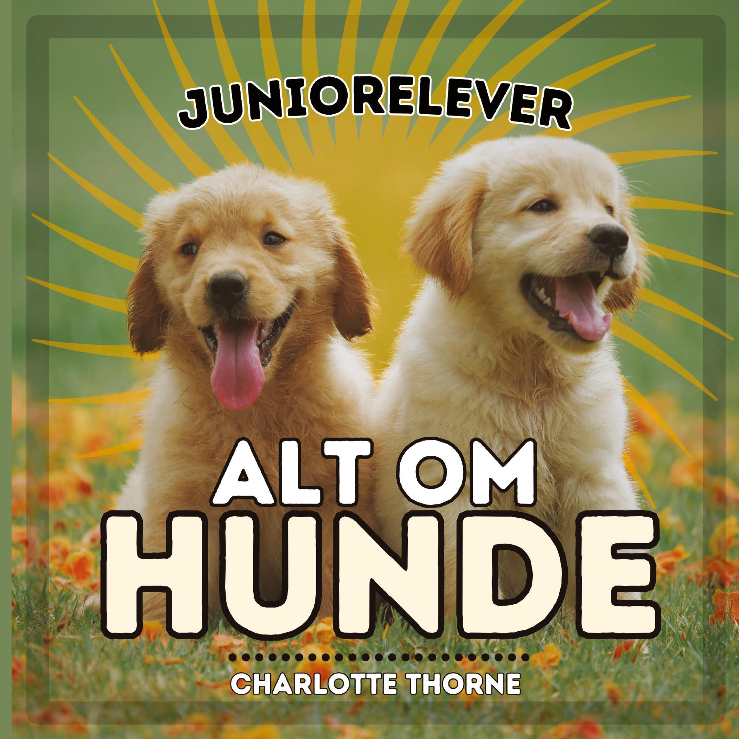 Cover: 9798869000743 | Juniorelever, Alt Om Hunde | Lær alt om menneskets bedste ven! | Buch