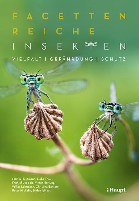 Cover: 9783258082899 | Facettenreiche Insekten | Vielfalt, Gefährdung, Schutz | Taschenbuch