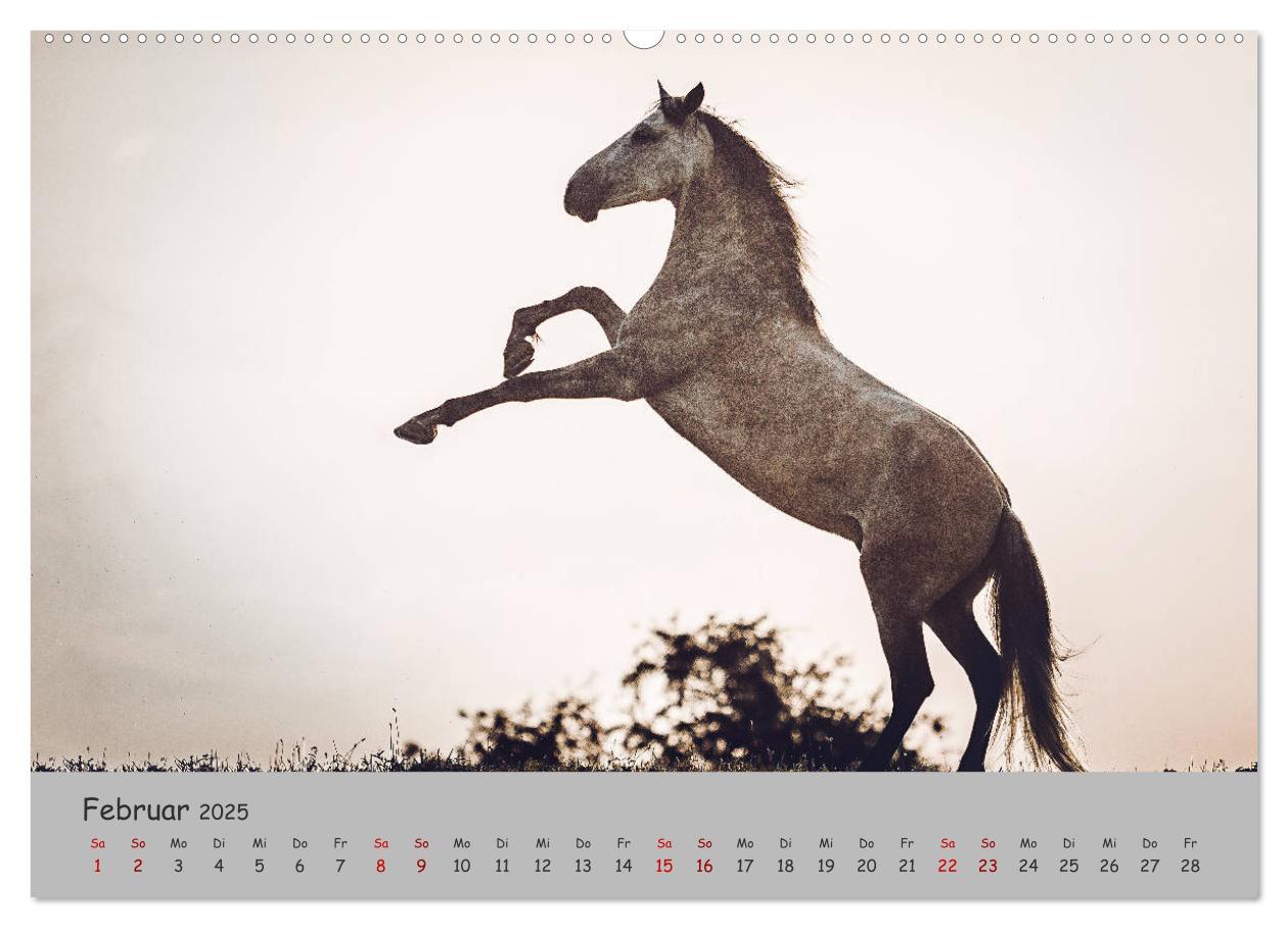 Bild: 9783435336357 | Spiegel deiner Seele (hochwertiger Premium Wandkalender 2025 DIN A2...