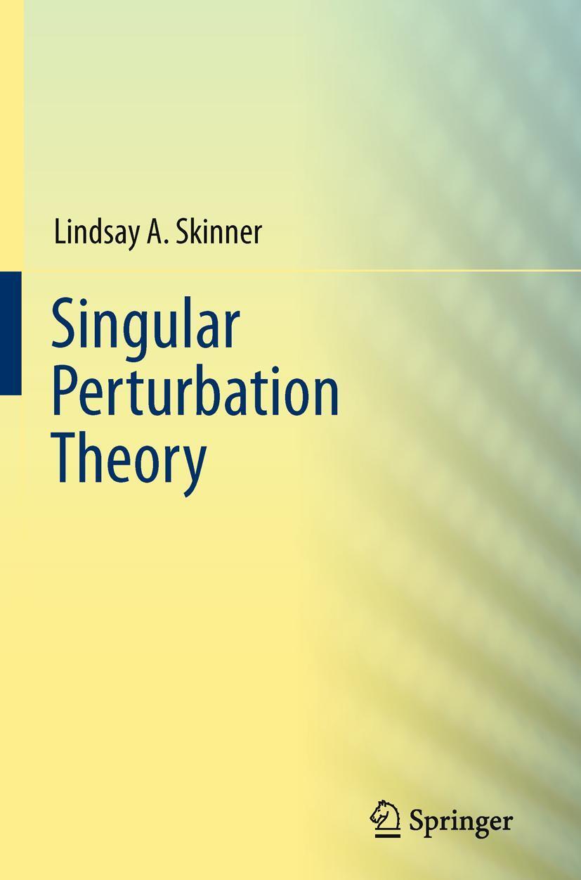 Cover: 9781441999573 | Singular Perturbation Theory | Lindsay A Skinner | Taschenbuch | x