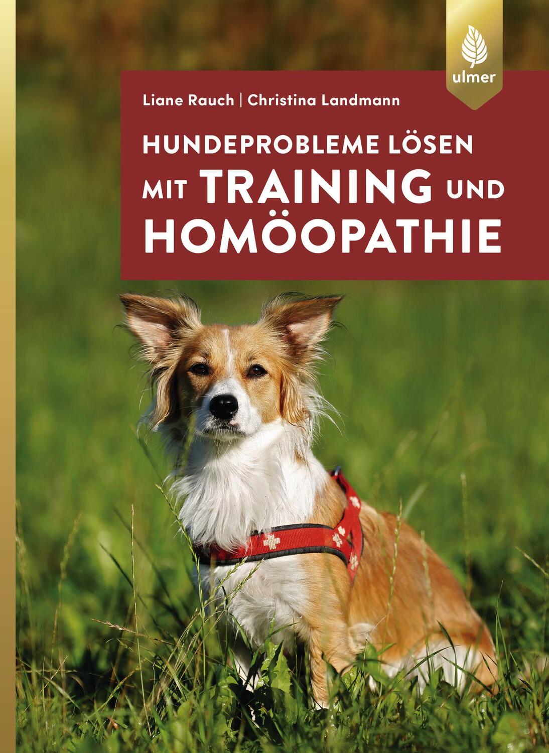 Cover: 9783818602680 | Hundeprobleme lösen mit Training und Homöopathie | Liane Rauch (u. a.)