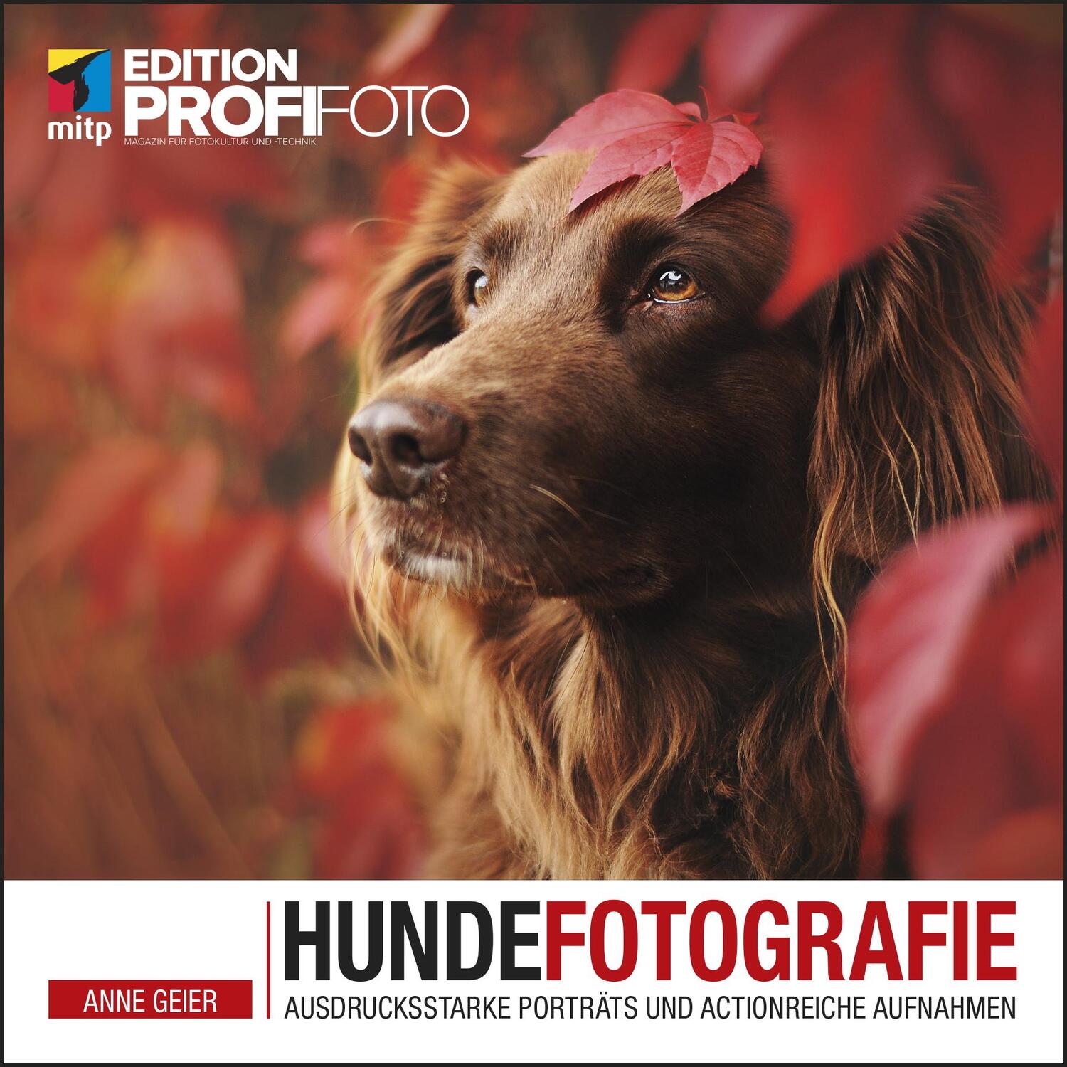 Cover: 9783747501825 | Hundefotografie | Ausdrucksstarke Porträts und actionreiche Aufnahmen