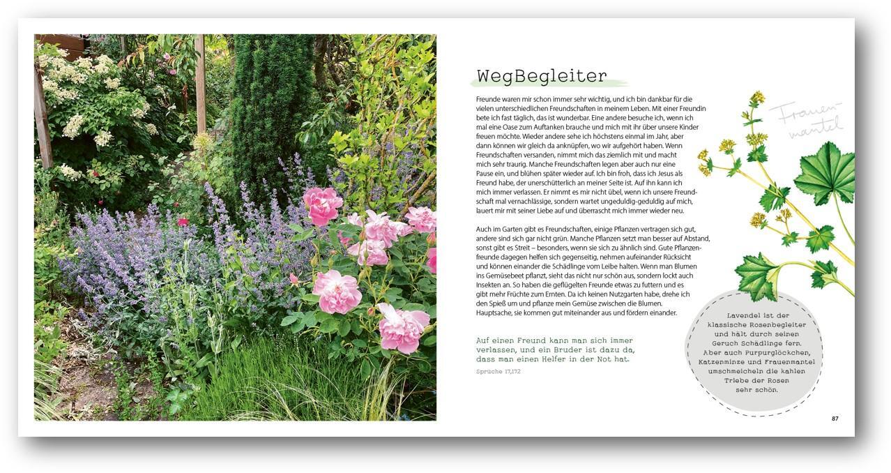 Bild: 9783957349873 | GartenGlück | Begegnungen mit Gott im Garten | Hanni Plato | Buch