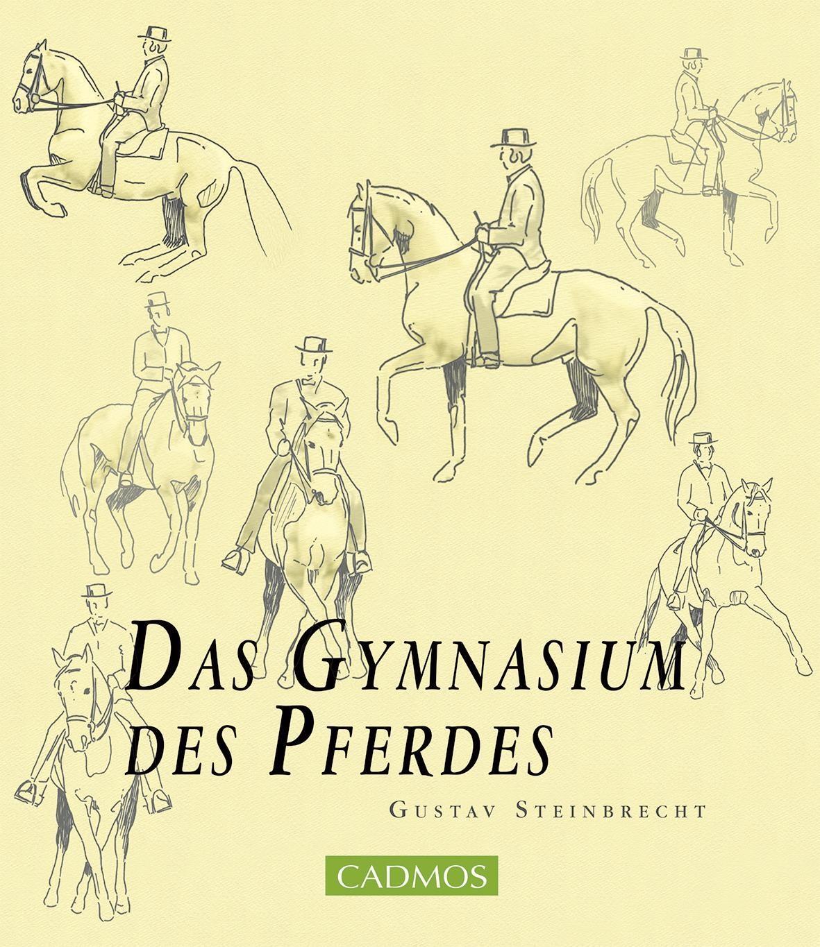 Cover: 9783840410895 | Das Gymnasium des Pferdes | Gustav Steinbrecht | Taschenbuch | Deutsch