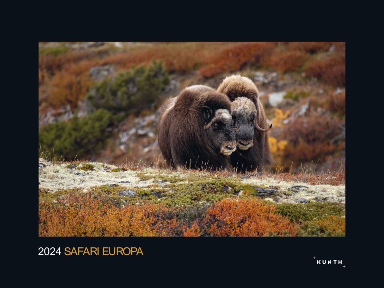 Cover: 9783965912670 | Safari Europa - KUNTH Wandkalender 2024 | Kalender | 14 S. | Deutsch