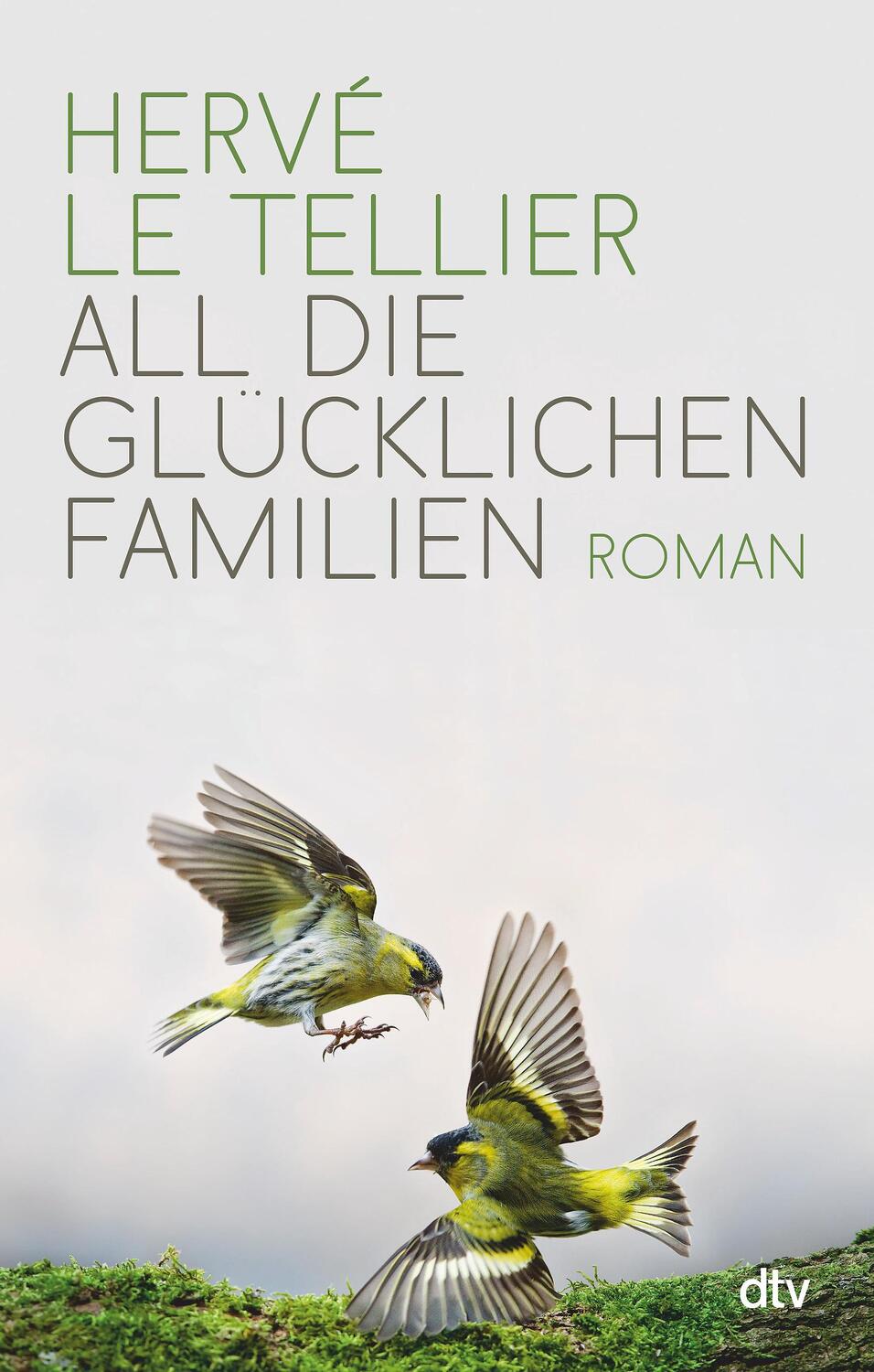 Cover: 9783423289719 | All die glücklichen Familien | Hervé Le Tellier | Buch | Deutsch