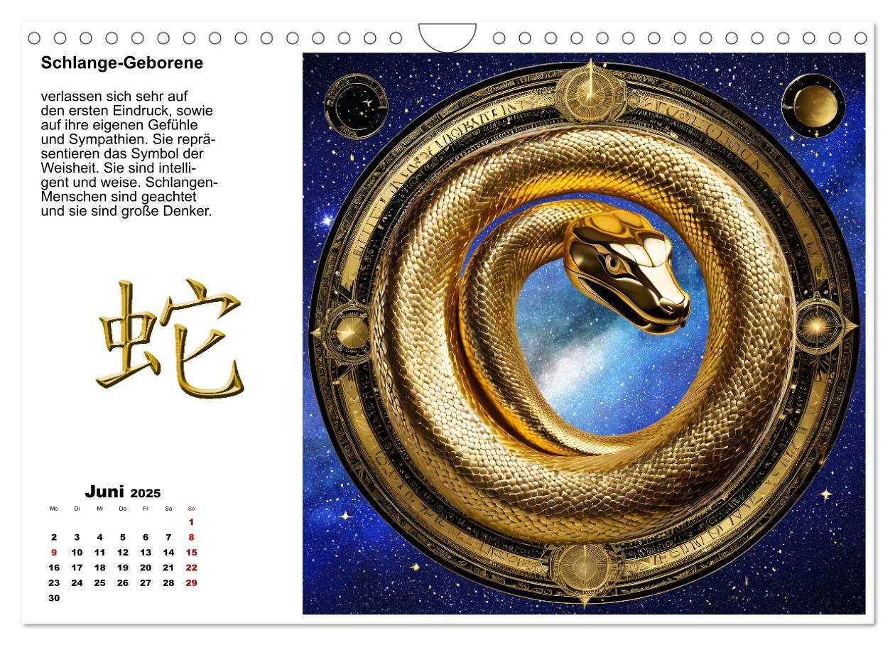 Bild: 9783457225141 | Chinesische Sternzeichen (Wandkalender 2025 DIN A4 quer), CALVENDO...