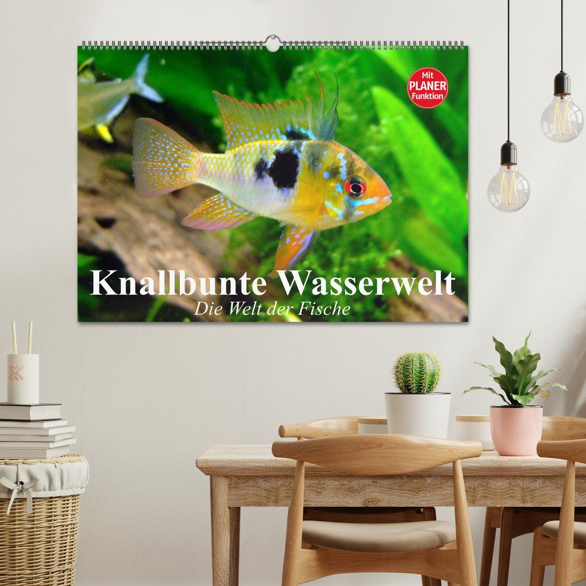 Bild: 9783435523078 | Knallbunte Wasserwelt. Die Welt der Fische (Wandkalender 2025 DIN...