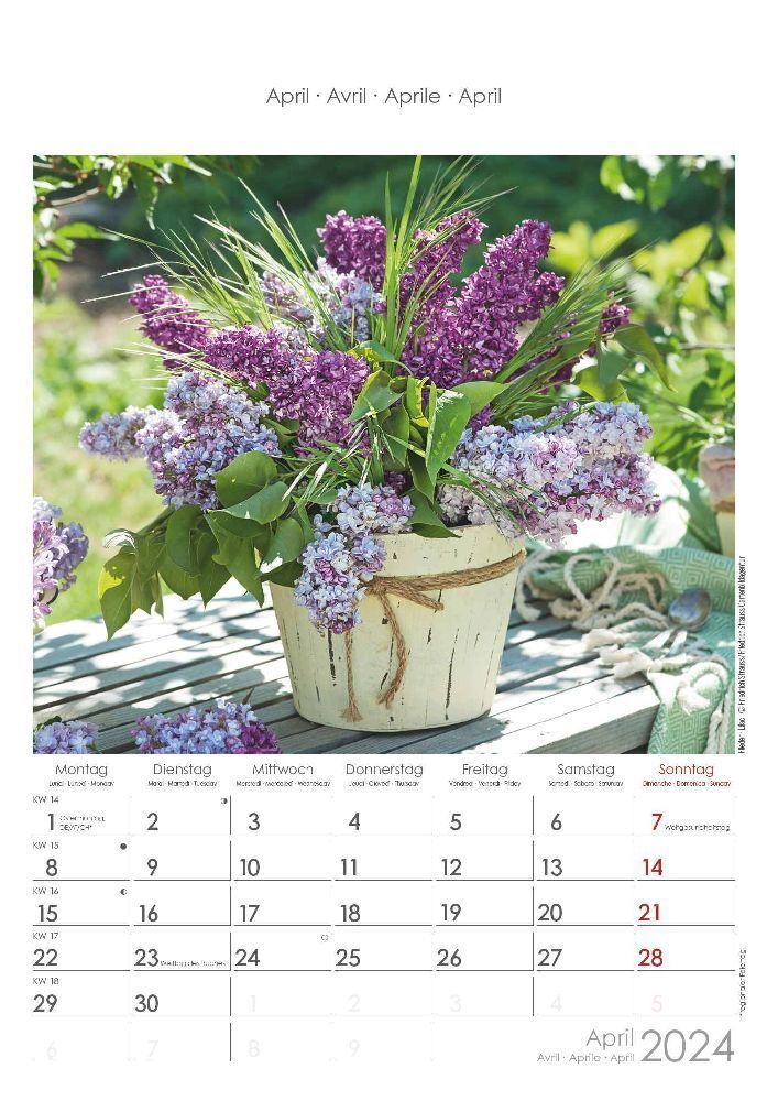Bild: 4251732334741 | Blumen 2024 - Bildkalender 23,7x34 cm - Kalender mit Platz für...
