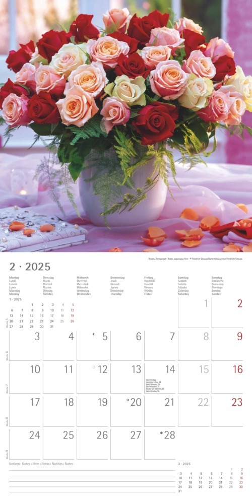 Bild: 4251732340612 | Blumen 2025 - Broschürenkalender 30x30 cm (30x60 geöffnet) -...