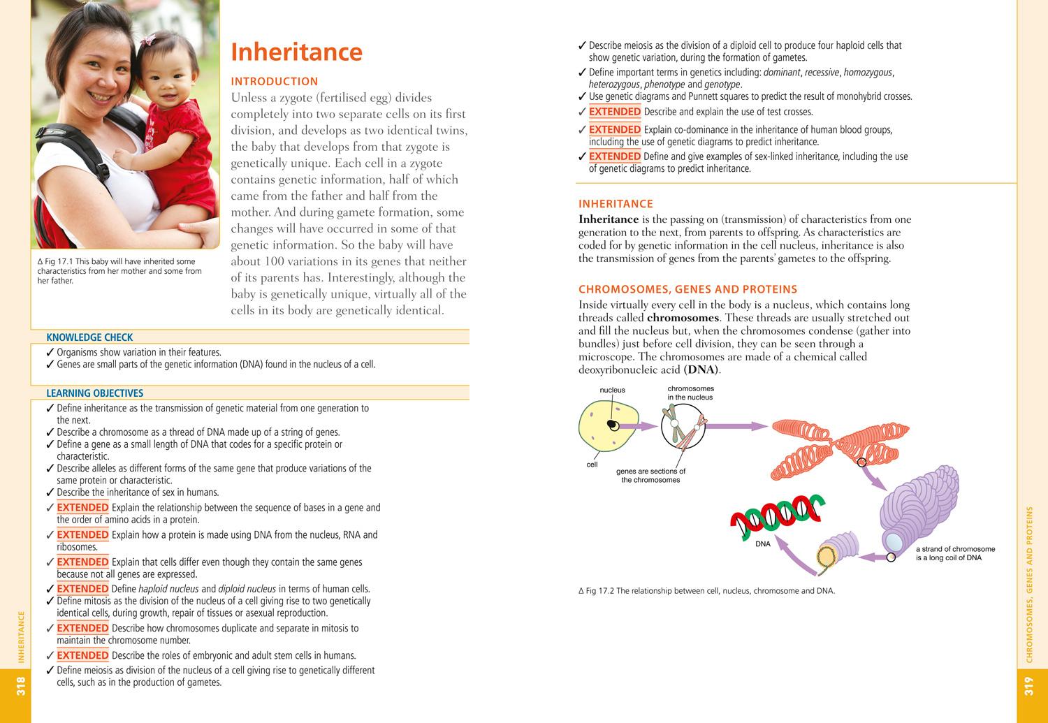 Bild: 9780007592524 | Cambridge Igcse(r) Biology: Student Book | Collins Uk | Taschenbuch