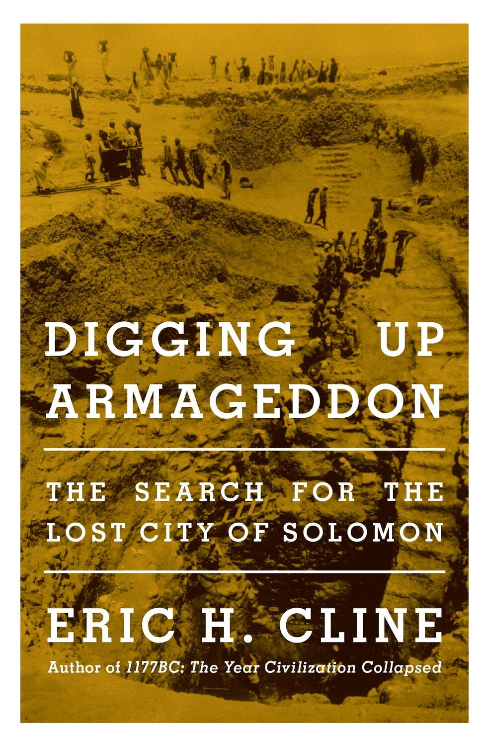 Cover: 9780691233932 | Digging Up Armageddon | The Search for the Lost City of Solomon | Buch