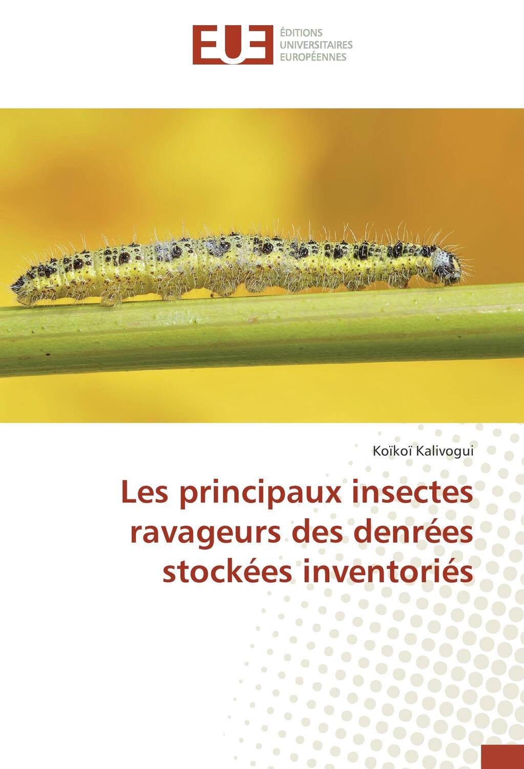 Cover: 9783330873803 | Les principaux insectes ravageurs des denrées stockées inventoriés