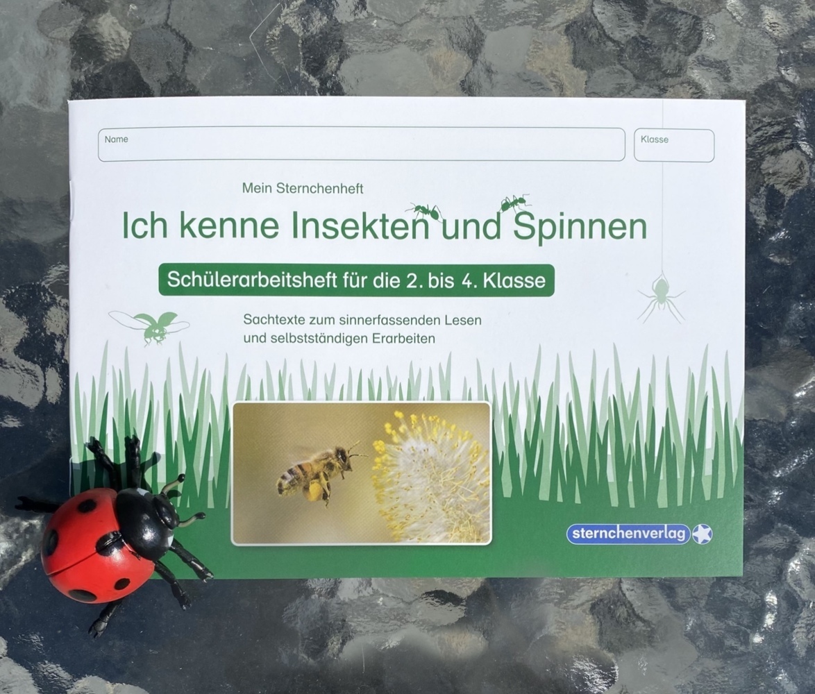 Bild: 9783939293194 | Ich kenne Insekten und Spinnen - Schülerarbeitsheft für die 2. bis...