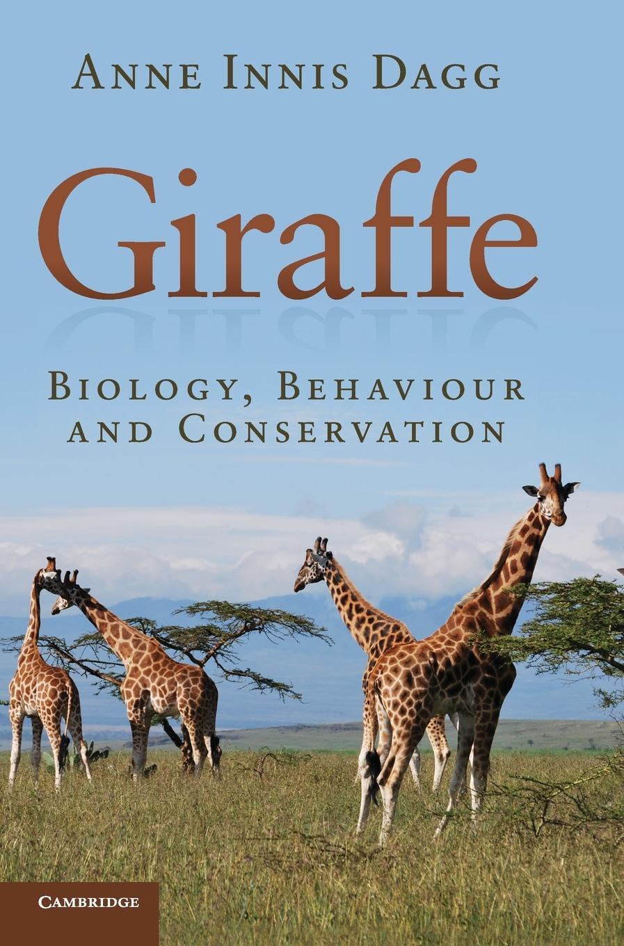 Cover: 9781107034860 | Giraffe | Anne Innis Dagg | Buch | HC gerader Rücken kaschiert | 2015