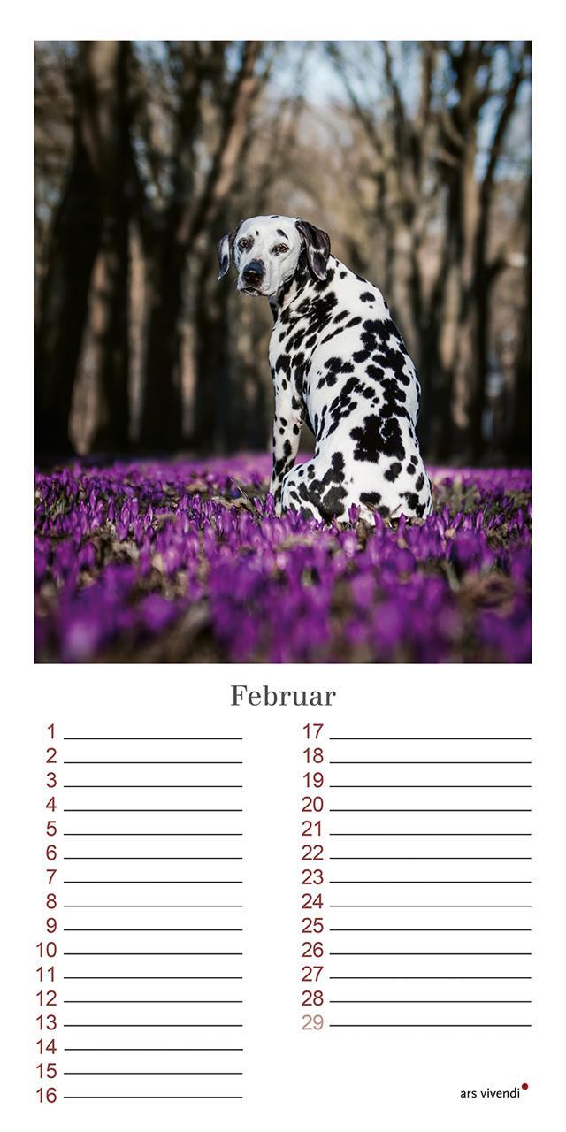 Bild: 9783747203965 | Geburtstagskalender Hunde | Immerwährender Kalender | Vivendi Ars