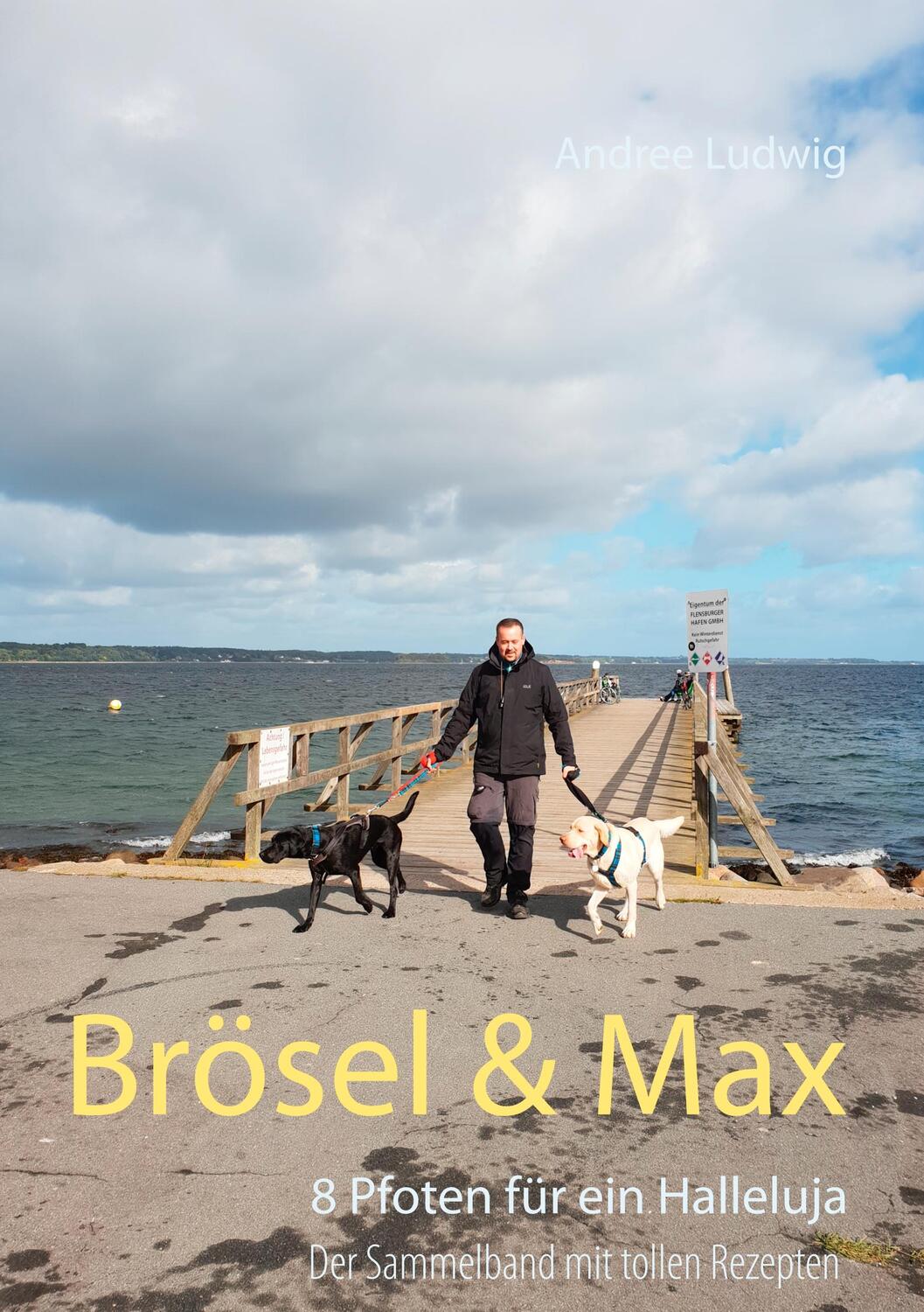 Cover: 9783749480999 | Brösel & Max | 8 Pfoten für ein Halleluja | Andree Ludwig | Buch
