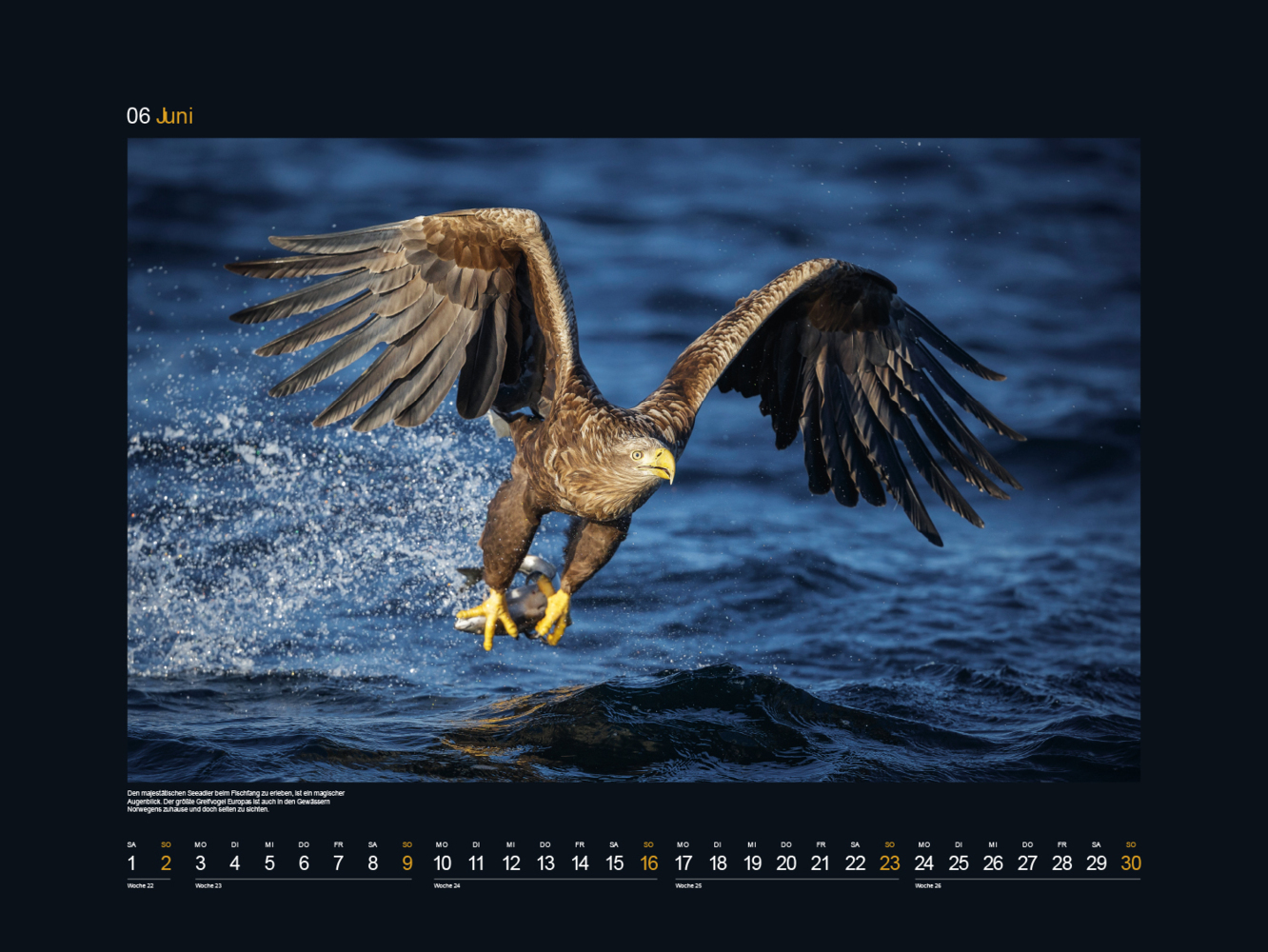 Bild: 9783965912670 | Safari Europa - KUNTH Wandkalender 2024 | Kalender | 14 S. | Deutsch