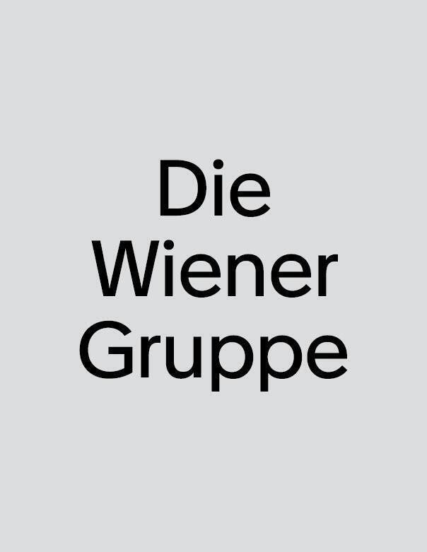 Cover: 9783959057110 | Die Wiener Gruppe | Texte, Gemeinschaftsarbeiten, Aktionen | Rühm