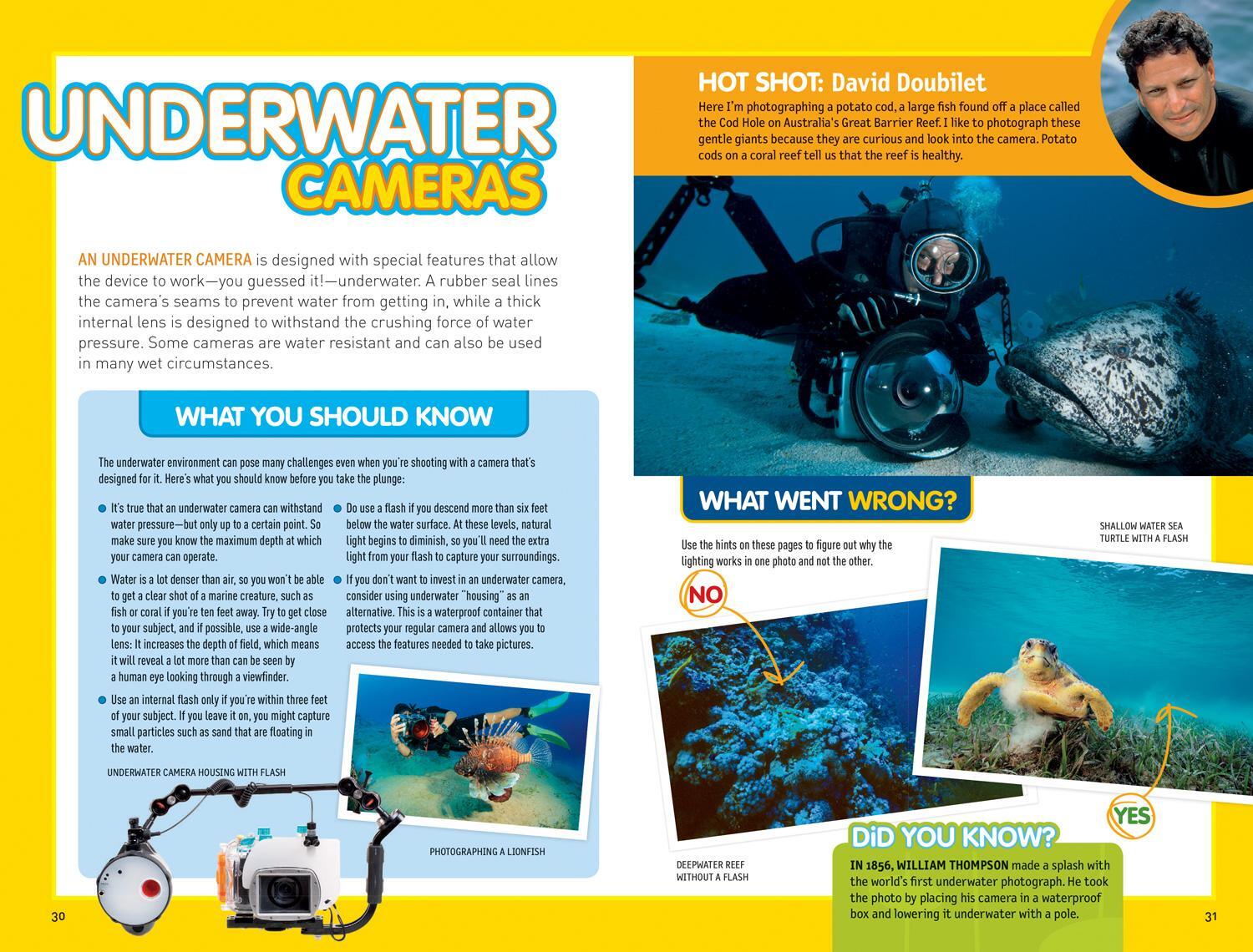 Bild: 9781426320668 | National Geographic Kids Guide to Photography | Nancy Honovich (u. a.)