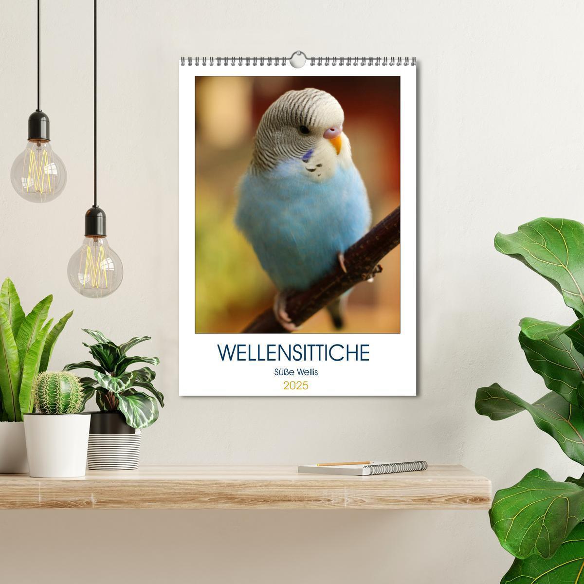 Bild: 9783435987122 | WELLENSITTICHE - Süße Wellis (Wandkalender 2025 DIN A3 hoch),...