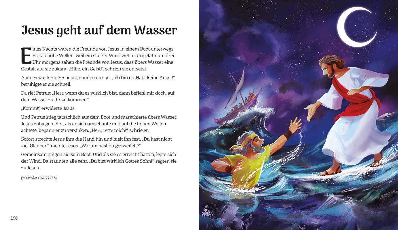 Bild: 9783417289558 | Meine erste Kinderbibel zum Selberlesen | Buch | 256 S. | Deutsch