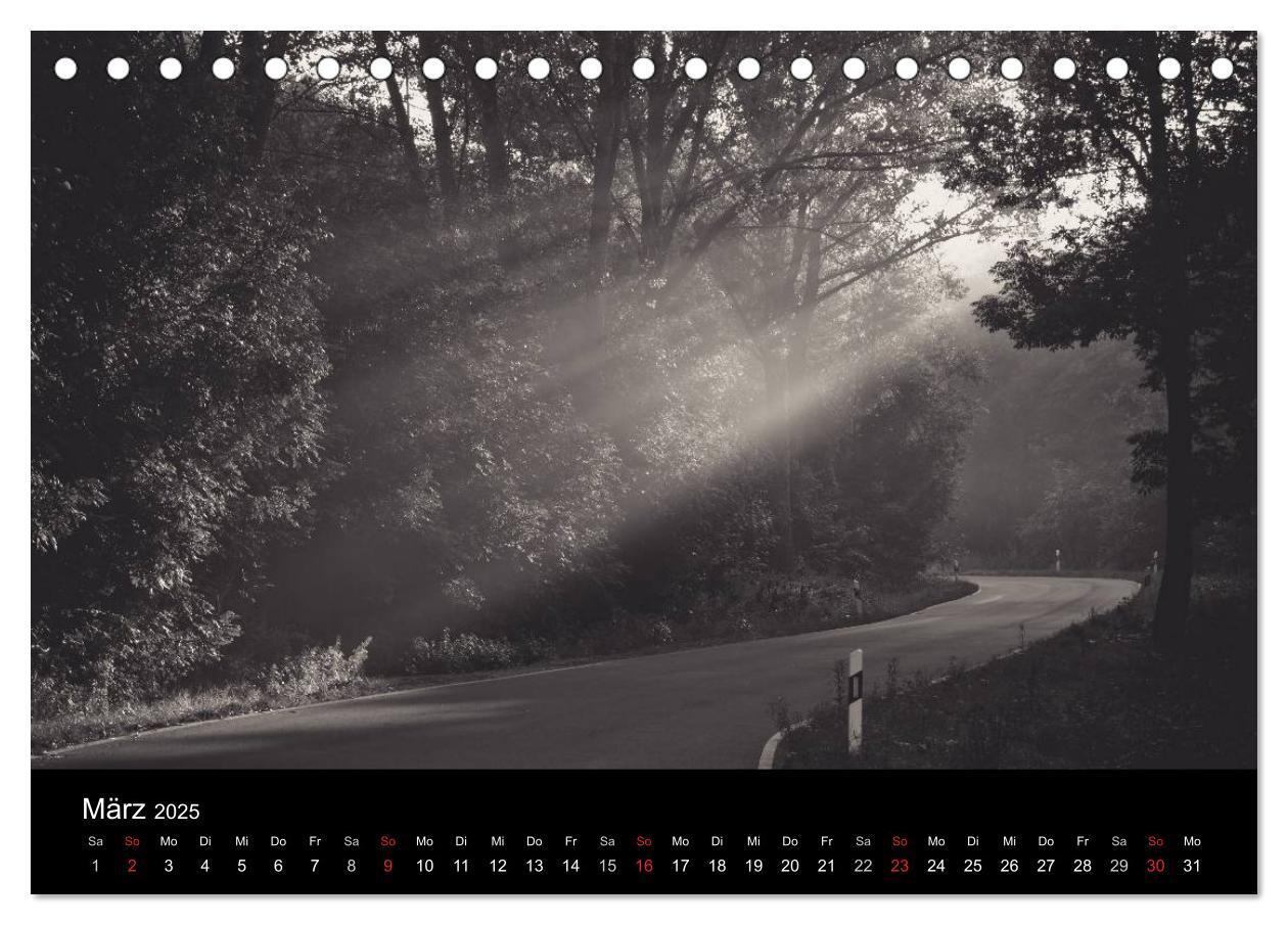 Bild: 9783435776924 | Bäume trees 2025 (Tischkalender 2025 DIN A5 quer), CALVENDO...