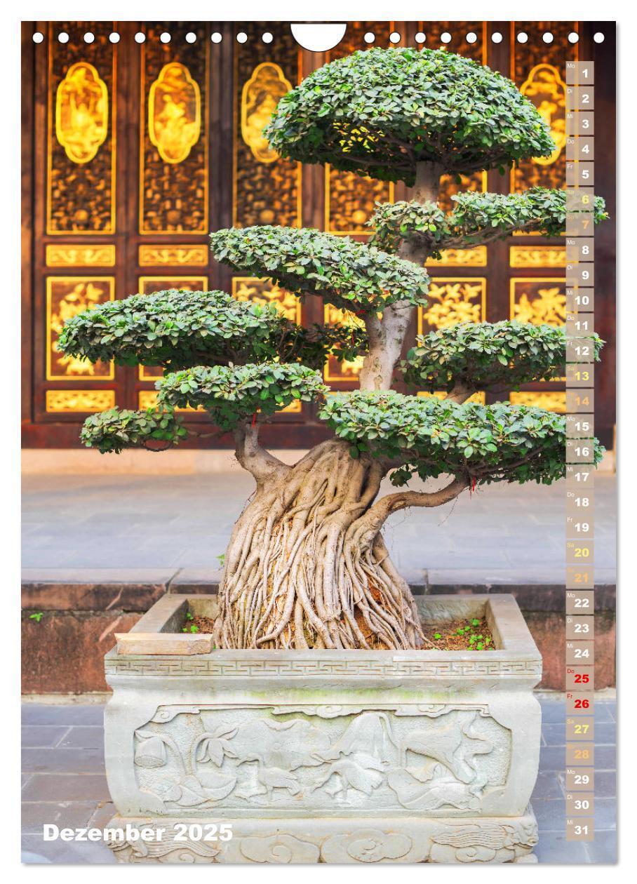 Bild: 9783435848966 | Bonsai: Gartenkunst im Kleinen (Wandkalender 2025 DIN A4 hoch),...