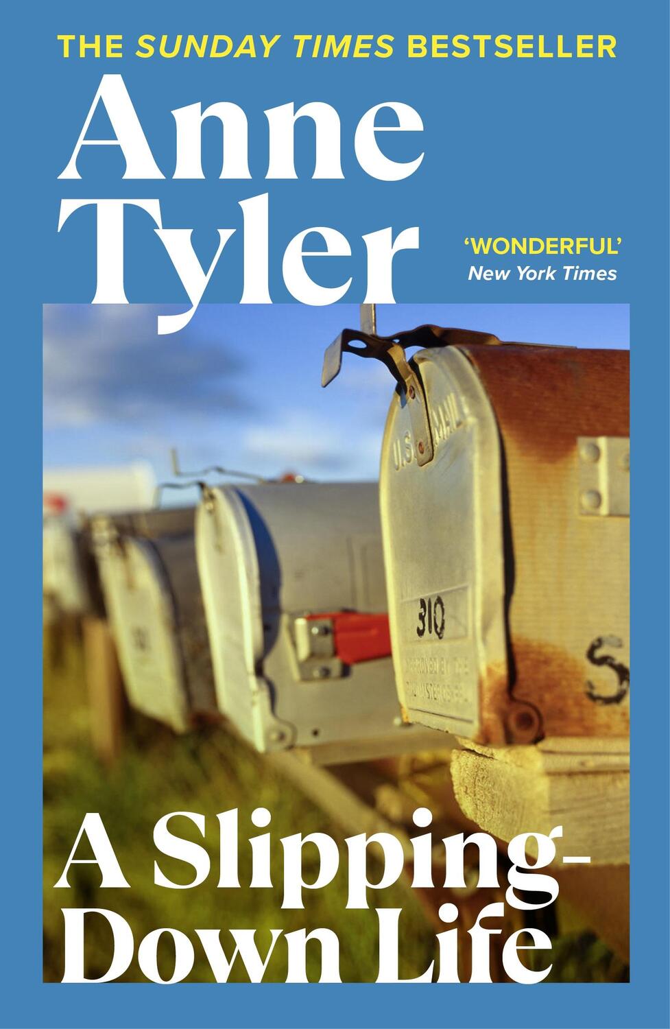 Cover: 9780099517504 | A Slipping Down Life | Anne Tyler | Taschenbuch | Englisch | 1990