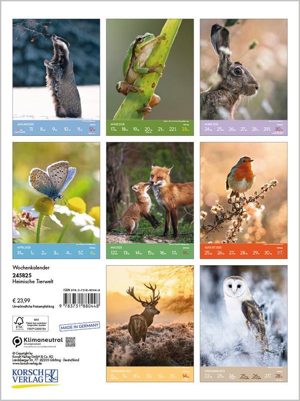 Bild: 9783731880448 | Heimische Tierwelt 2025 | Verlag Korsch | Kalender | Spiralbindung