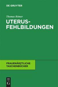 Cover: 9783110213102 | Uterusfehlbildungen | Thomas Römer | Taschenbuch | IX | Deutsch | 2011