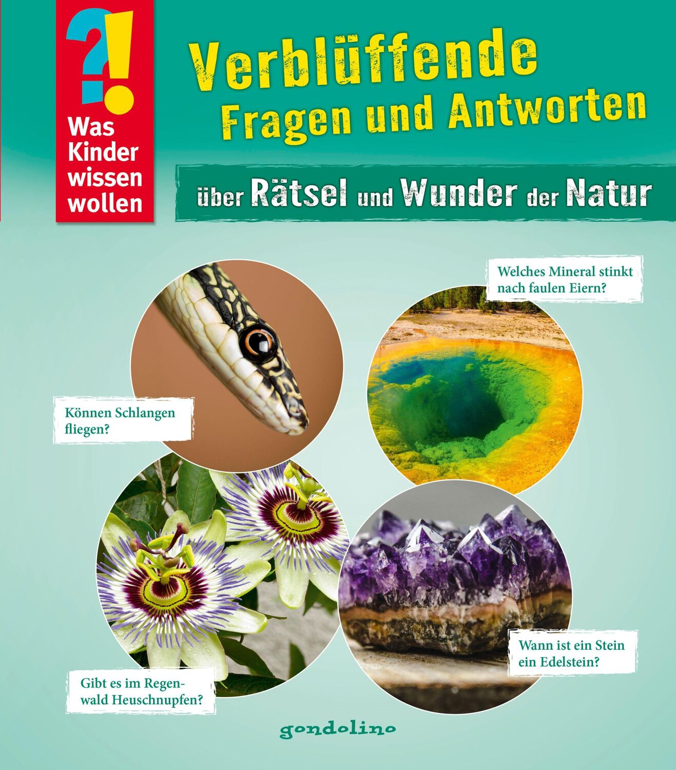 Cover: 9783811234109 | Was Kinder wissen wollen: Verblüffende Fragen und Antworten über...