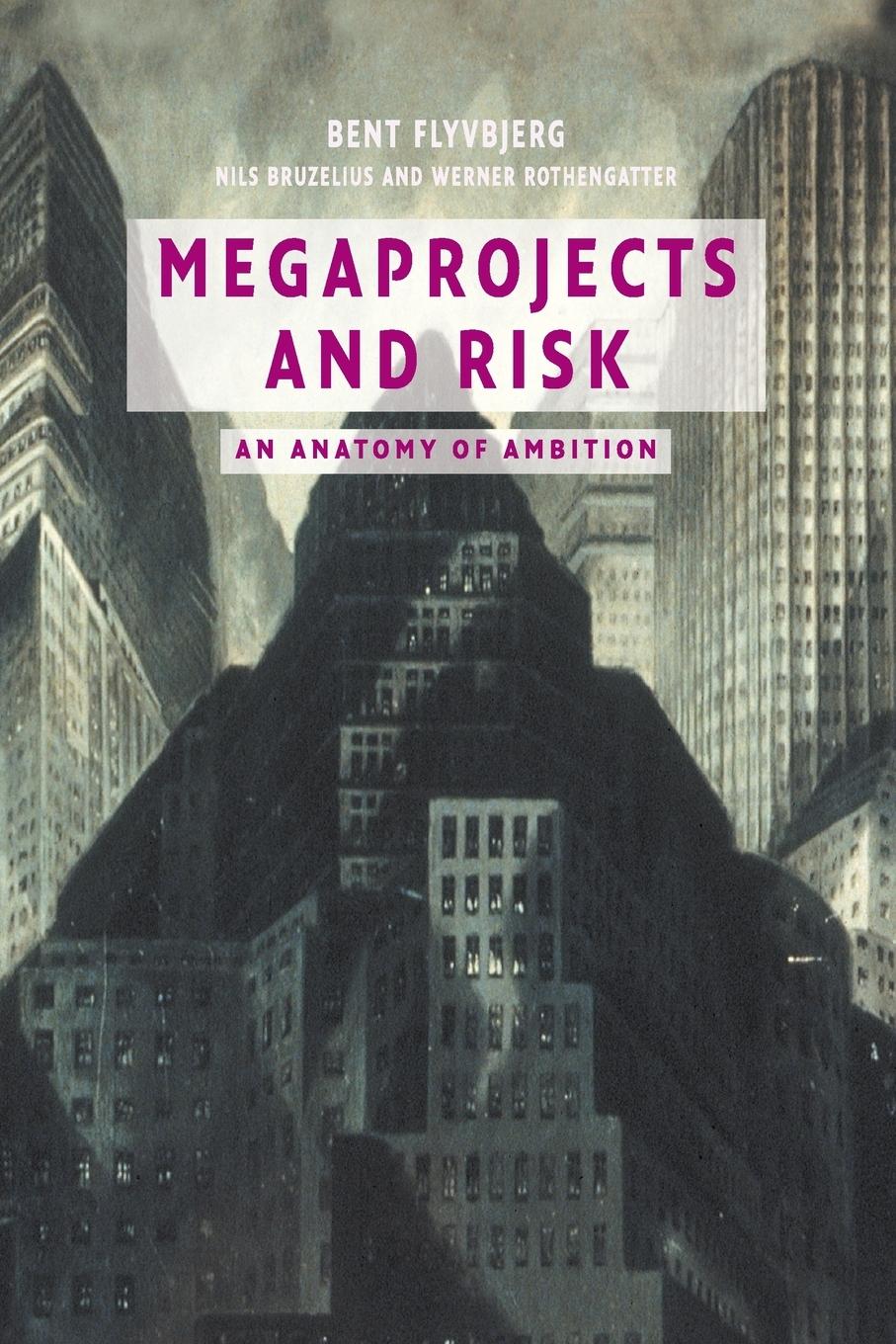 Cover: 9780521009461 | Megaprojects and Risk | Bent Flyvbjerg (u. a.) | Taschenbuch | 2019