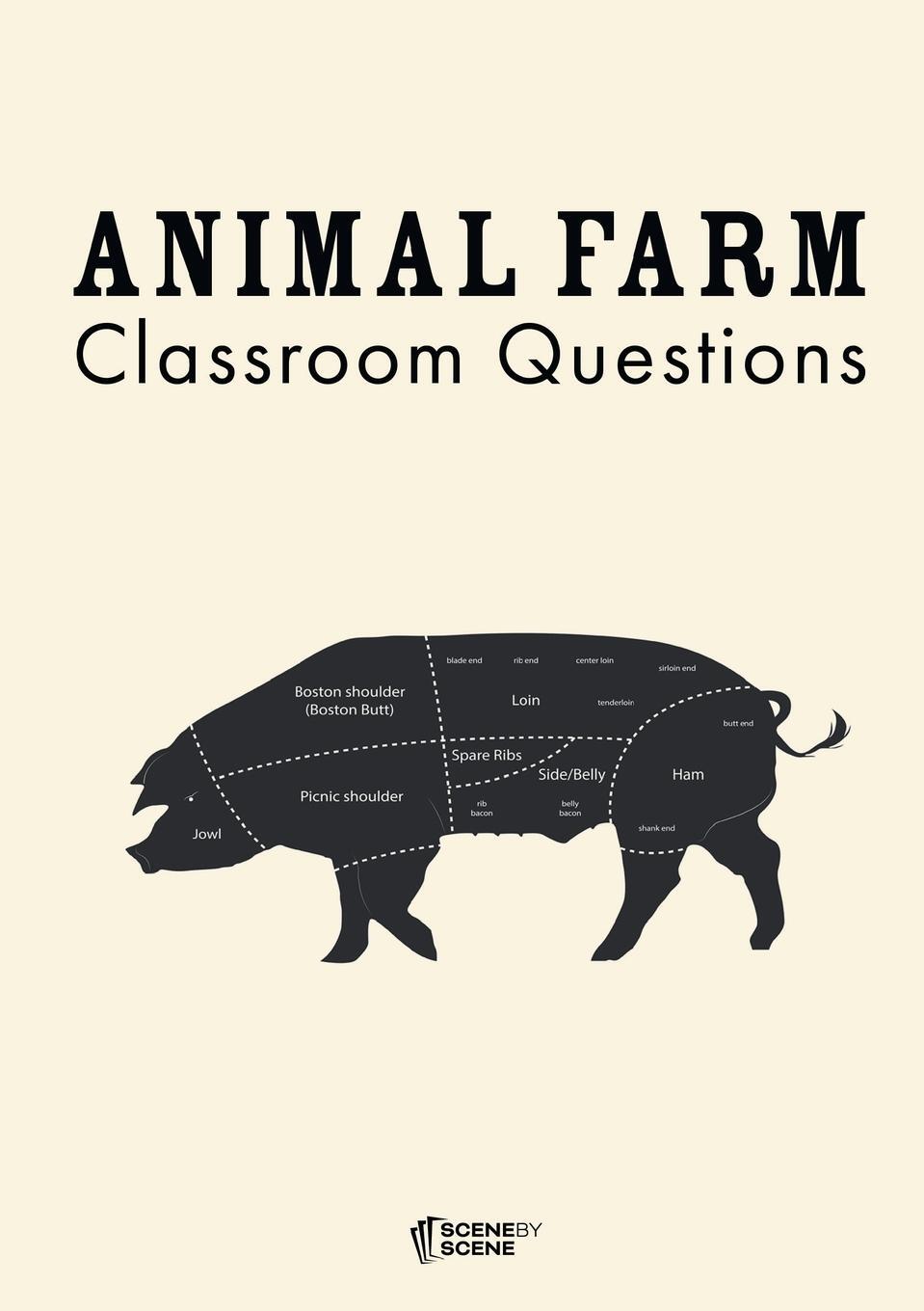 Cover: 9781910949108 | Animal Farm Classroom Questions | Amy Farrell | Taschenbuch | Englisch
