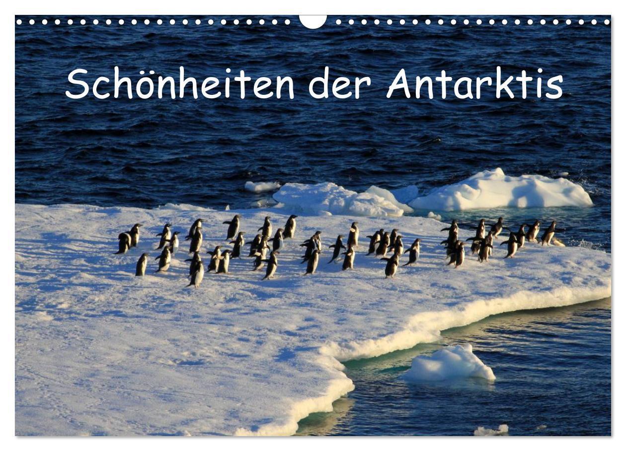 Cover: 9783383411731 | Schönheiten der Antarktis (Wandkalender 2024 DIN A3 quer), CALVENDO...