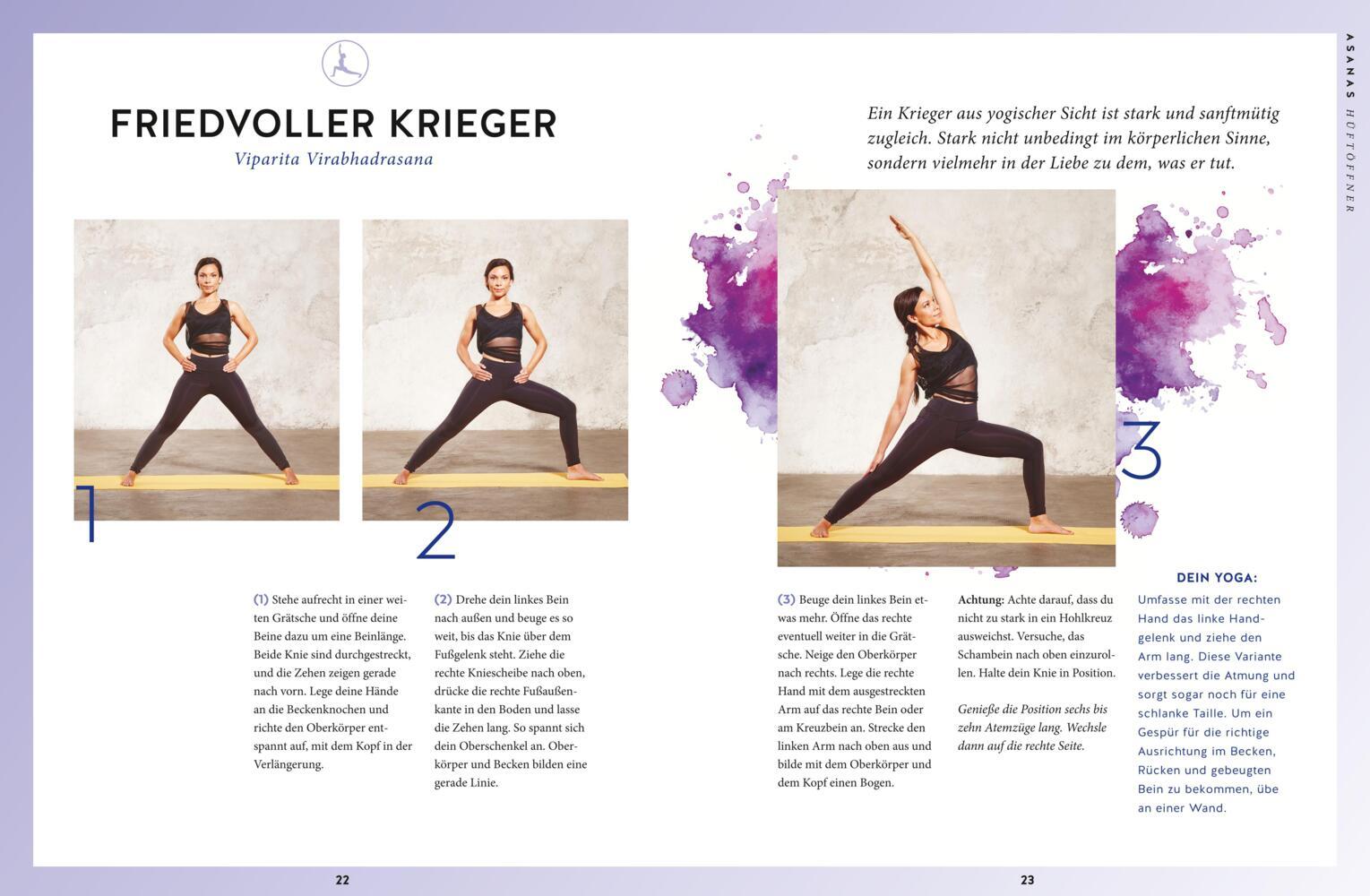 Bild: 9783833859472 | Yoga Basics, m. DVD | Amiena Zylla | Buch | 144 S. | Deutsch | 2017