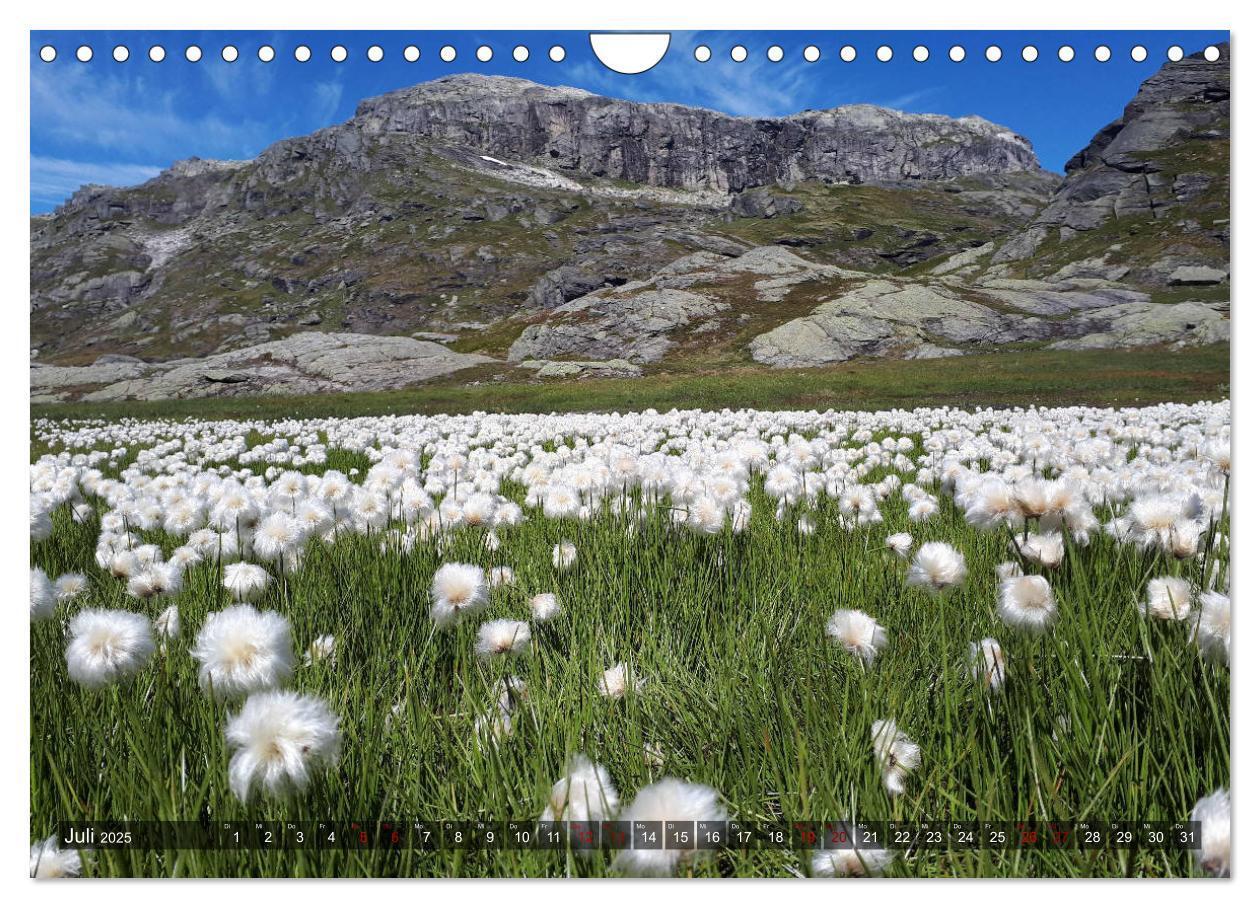 Bild: 9783435293490 | Norwegen 2025 - Berge, Fjorde, Moore (Wandkalender 2025 DIN A4...