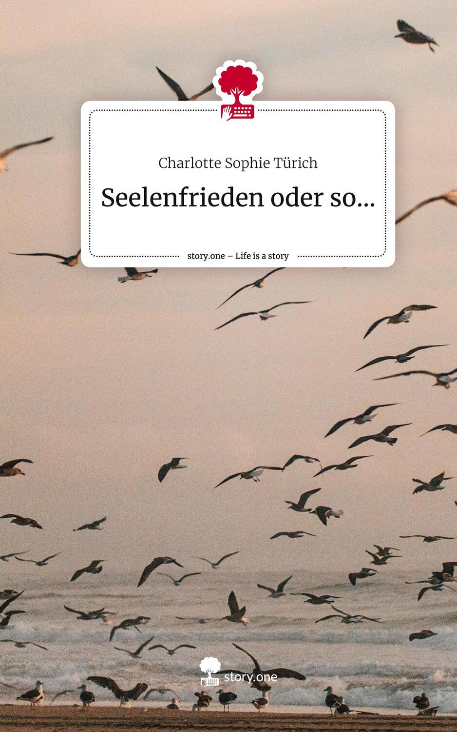 Cover: 9783711534019 | Seelenfrieden oder so.... Life is a Story - story.one | Türich | Buch