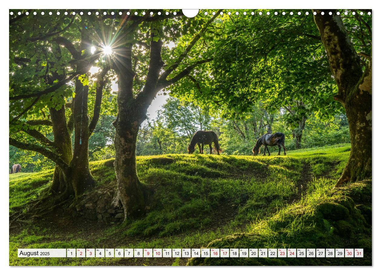 Bild: 9783383872396 | Großbritannien - England (Wandkalender 2025 DIN A3 quer), CALVENDO...